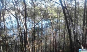 0 CLEAR CREEK DR