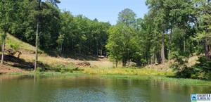Lot 2 PRESERVE DRIVE