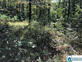 310 WARRIOR RIVER HIGHLANDS ROAD