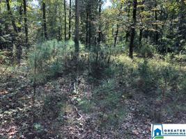 334 WARRIOR RIVER HIGHLANDS ROAD