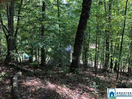 116 SLOUGHSIDE DR