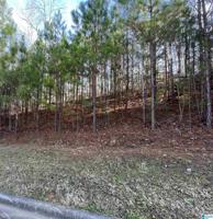 5813 CARRINGTON LAKE PARKWAY