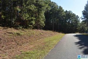 Lot 54 PENINSULA DR