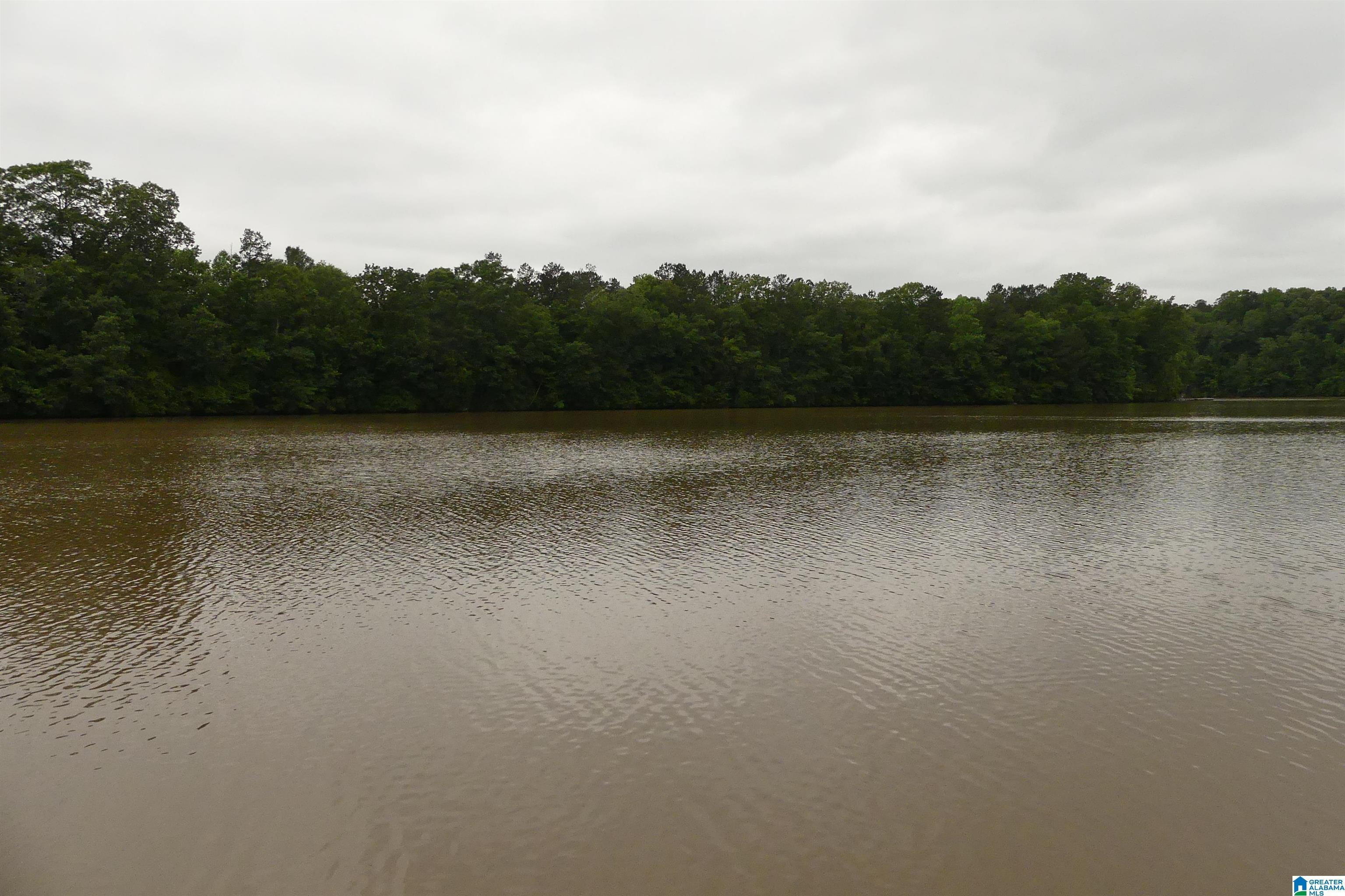 Image 1: VIEW OF WATER, LITTLE TALLAPOOSA RIVER