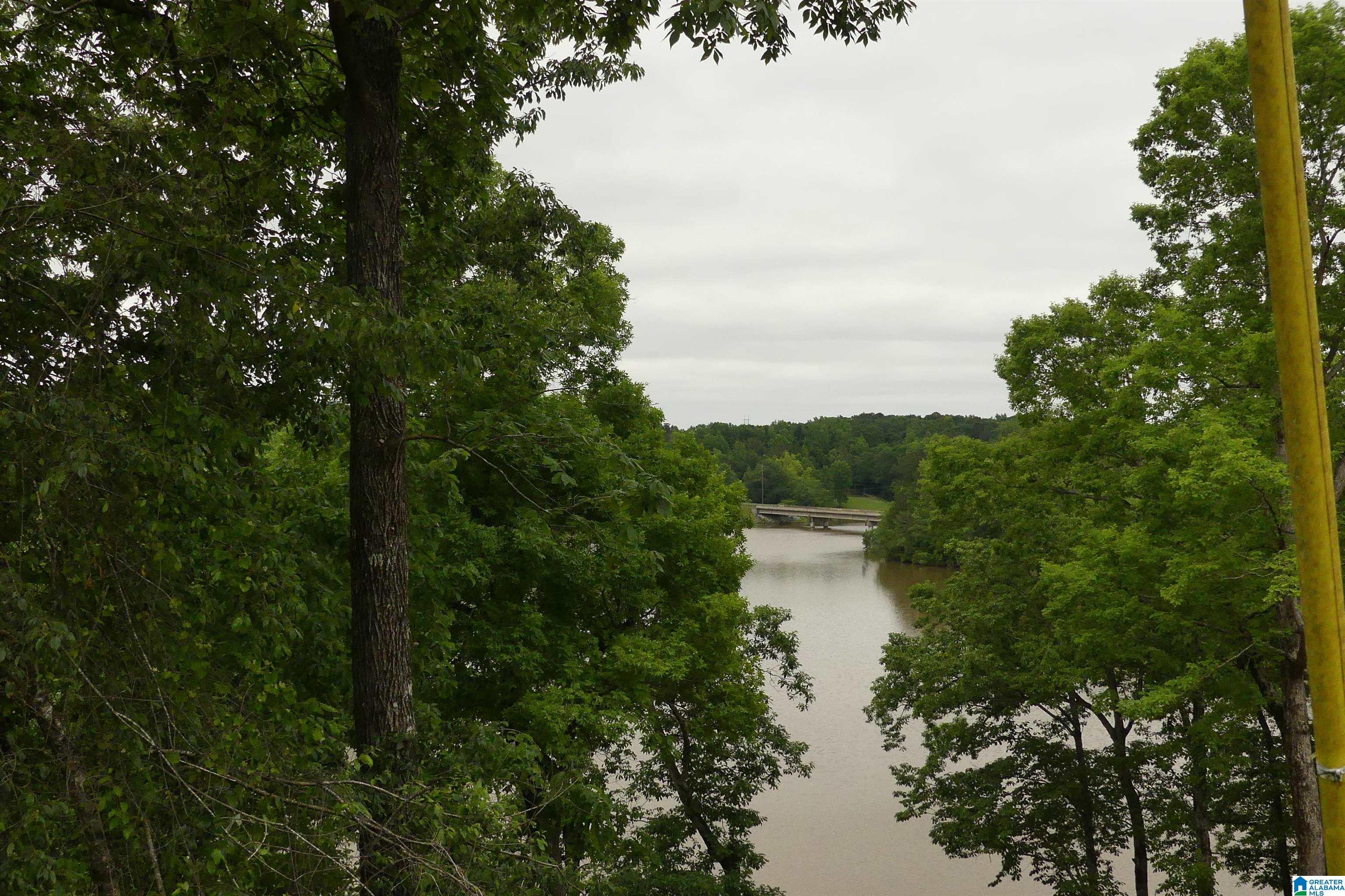 Image 2: VIEW FROM LOT OF WATER