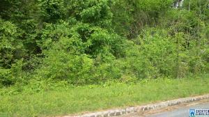 HUNTER RIDGE LN Lot 119