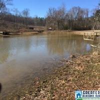 338 DAVIS ACRES DR
