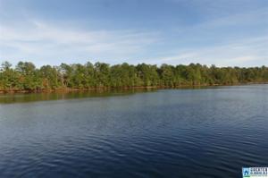 Lot 13 CO RD 256
