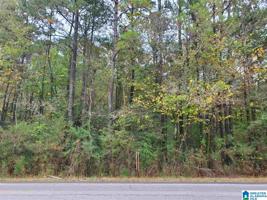 Lot 5.7 Acres HIGHWAY 11