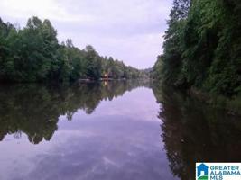 Lot 2 OLD HIGHWAY 431