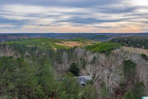 558 COUNTY ROAD 53