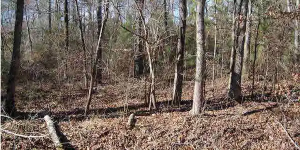 27 DELMAR DR Lot 1