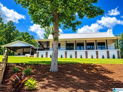 863 COUNTY ROAD 481