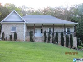 529 LOST SPRINGS DR