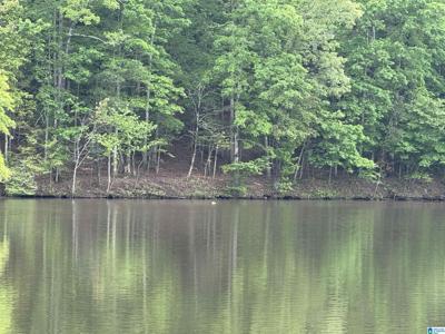Lot 1 OLD HIGHWAY 431