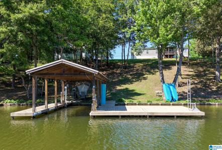 390 COOSA ISLAND ROAD