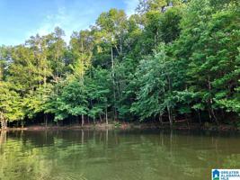 Lot 23 WILD TURKEY LANE