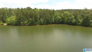 FIREFLY LN