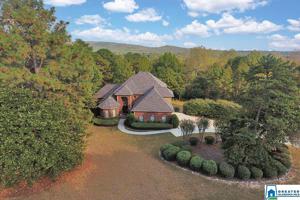 119 SWAN LAKE CIR