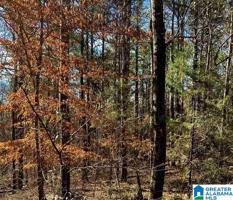 Lot 6 KATIE DR