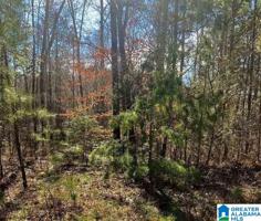 Lot 7 KATIE DR