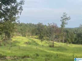 Lot 85 Ac COUNTY ROAD 29