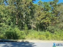0 HUNTER RIDGE LN