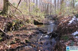 Lot 21&plusmn; Acres POINTE SOUTH DR