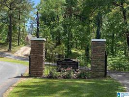 1 COUNTY ROAD 1068