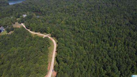 Lot 2 LANE BRANCH ROAD