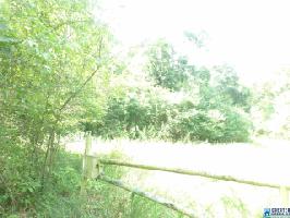 0000 CO RD 98