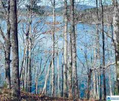 Lot 13 MOHAWK CLIFF ROAD