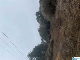Lot 1,2,3 38,39,40,41 WARNKE RD