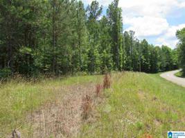 Lot 8.41 COUNTY ROAD 329