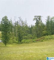 169 STONEY POINT LANDING
