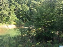 Lot 29 LONG LEAF ROAD