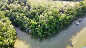 260 COUNTY ROAD 318