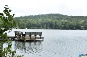 8232 CEDAR MOUNTAIN RD
