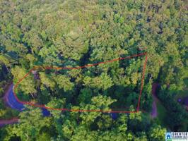 15A BIG Y COVE LOOP