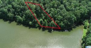 Lot 5A COUNTY ROAD 2642