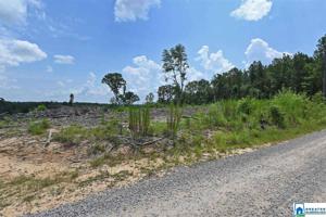 Lot N/A CO RD 359