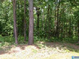 PINEYWOODS DR