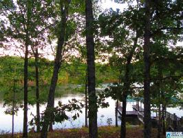 .66 Acres CO RD 281