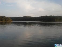 55 COVES DR