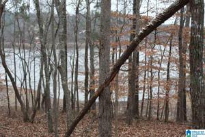 Lot 1 INTERNATIONAL HARVESTER DRIVE