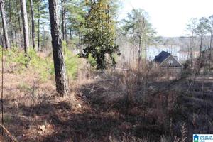 Lot 36 COUNTY ROAD 256