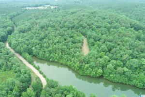 Lot 33 COUNTY ROAD 803