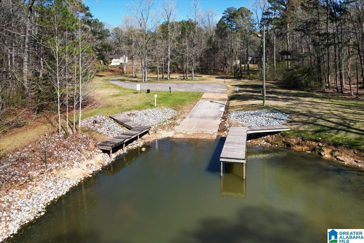 Image 2: Dock