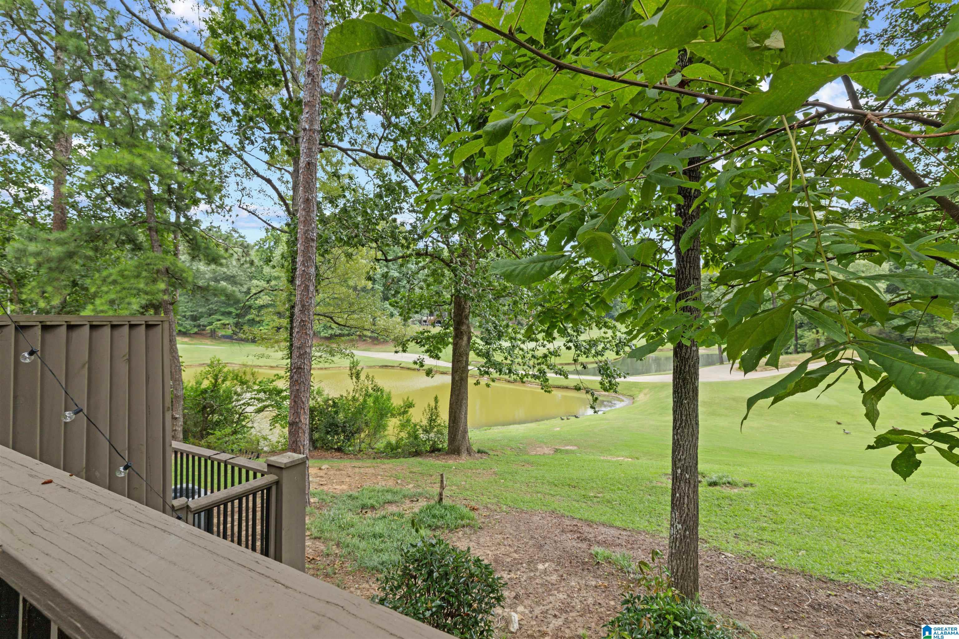 Image 4: Yard