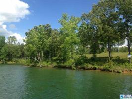 Lot 93 CO RD 175